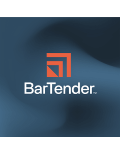 Seagull BarTender Automation, application license, 10 printers