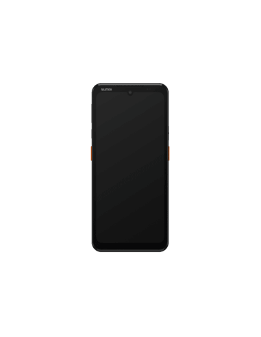 Sunmi L3, Dual NFC, Projected Capacitive, hot-swap, USB-C, BT (BLE), Wi-Fi (Wi-Fi), 4G, NFC, Android, kit (USB)
